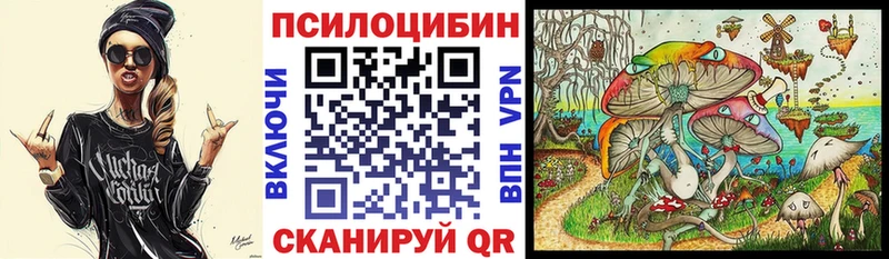 наркотики Чаплыгин Галлюциногенные грибы Psilocybine cubensis